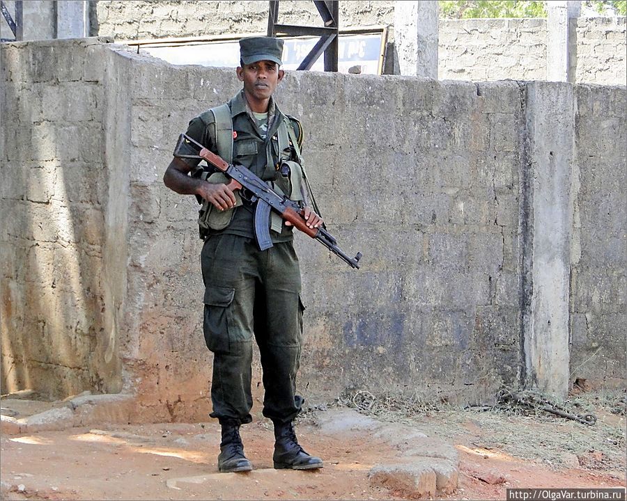 Этот — какую-то стену. Впрочем, за нею вполне может скрываться очень важный военный объект... Вон как напрягся Этот — какую-то стену. Впрочем, за нею вполне может скрываться очень важный военный объект... Вон как напрягся