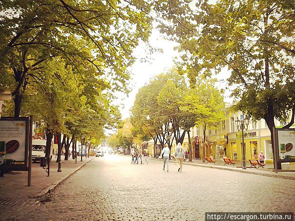 Ну и конечно же сама улица Дерибасовская уже является достопримечательностью, во всяком случае ее пешеходная часть.
Первоначально улица называлась Гимназская или Гимназическая в честь коммерческой гимназии Вольсея, открытой Дюком Де Ришелье. С 1811 года улица называется или де Рибасовская или просто Рибасовская, с 1836 года встречается название Де-Рибасовская. Улица названа так в честь Иосифа де Рибаса, который был первым одесским градоначальником. Ну и конечно же сама улица Дерибасовская уже является достопримечательностью, во всяком случае ее пешеходная часть.
Первоначально улица называлась Гимназская или Гимназическая в честь коммерческой гимназии Вольсея, открытой Дюком Де Ришелье. С 1811 года улица называется или де Рибасовская или просто Рибасовская, с 1836 года встречается название Де-Рибасовская. Улица названа так в честь Иосифа де Рибаса, который был первым одесским градоначальником.