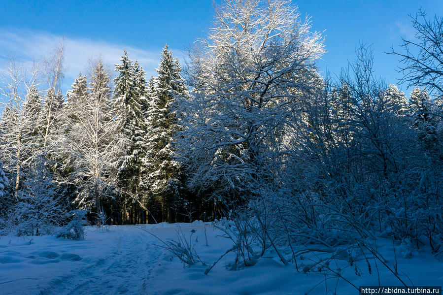 Там, где я теперь живу Россия Там, где я теперь живу Россия
