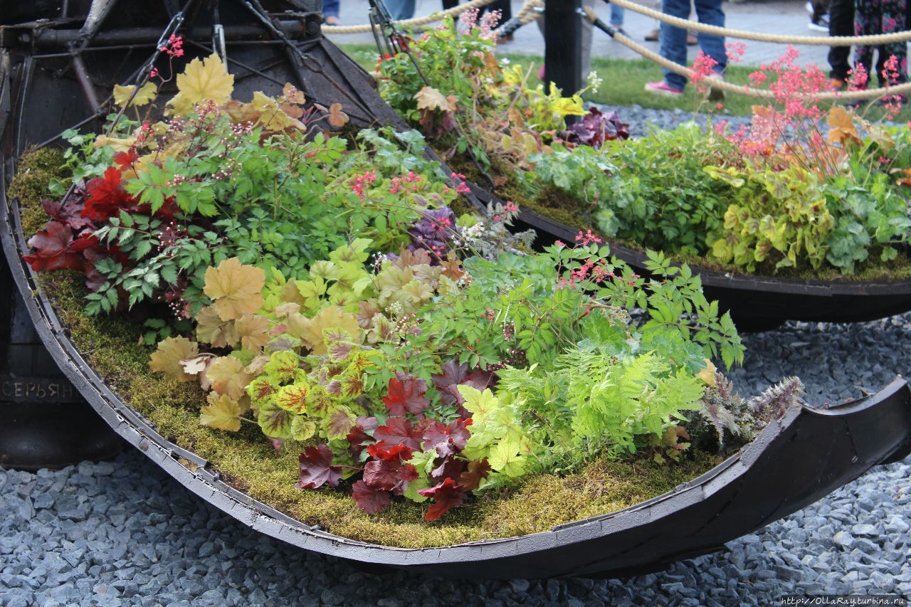 Moscow Flower Show 2017. Фотоотчёт и впечатления. Москва, Россия Moscow Flower Show 2017. Фотоотчёт и впечатления. Москва, Россия