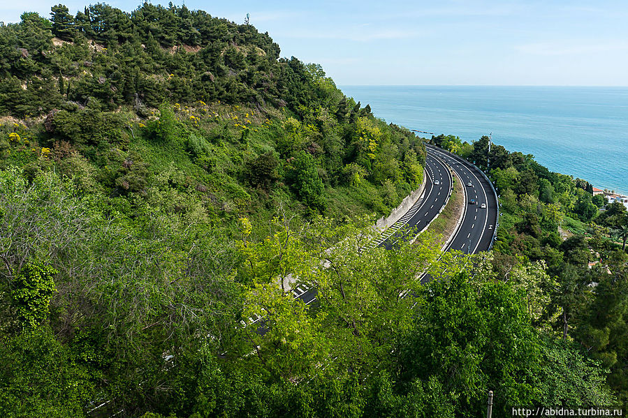 Гроттамаре на Пальмовой Ривьере Гроттамаре, Италия Гроттамаре на Пальмовой Ривьере Гроттамаре, Италия
