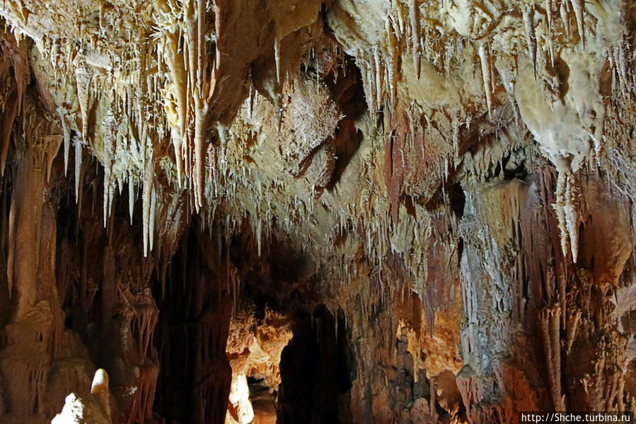 Шикарная пещера на Халкидики — буйство природы Петралона, Греция