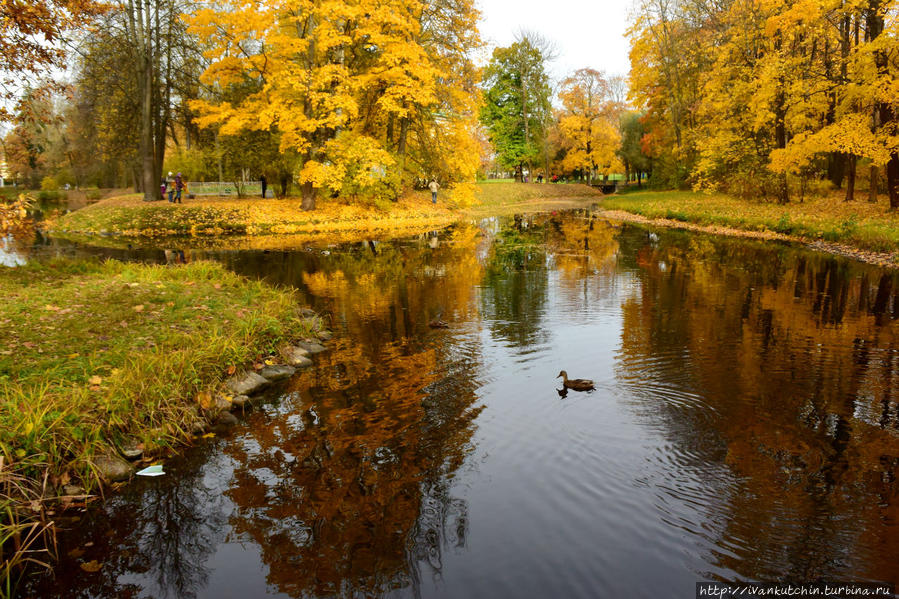 Царскосельская осень Пушкин, Россия