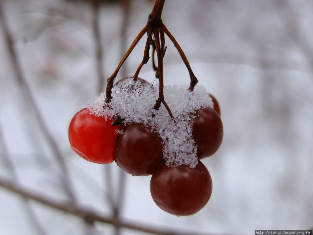 Я в весеннем лесу....пил))) Красноярск, Россия Я в весеннем лесу....пил))) Красноярск, Россия