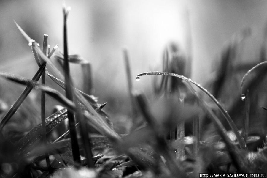 Иван да Марья Ивангород, Россия Иван да Марья Ивангород, Россия