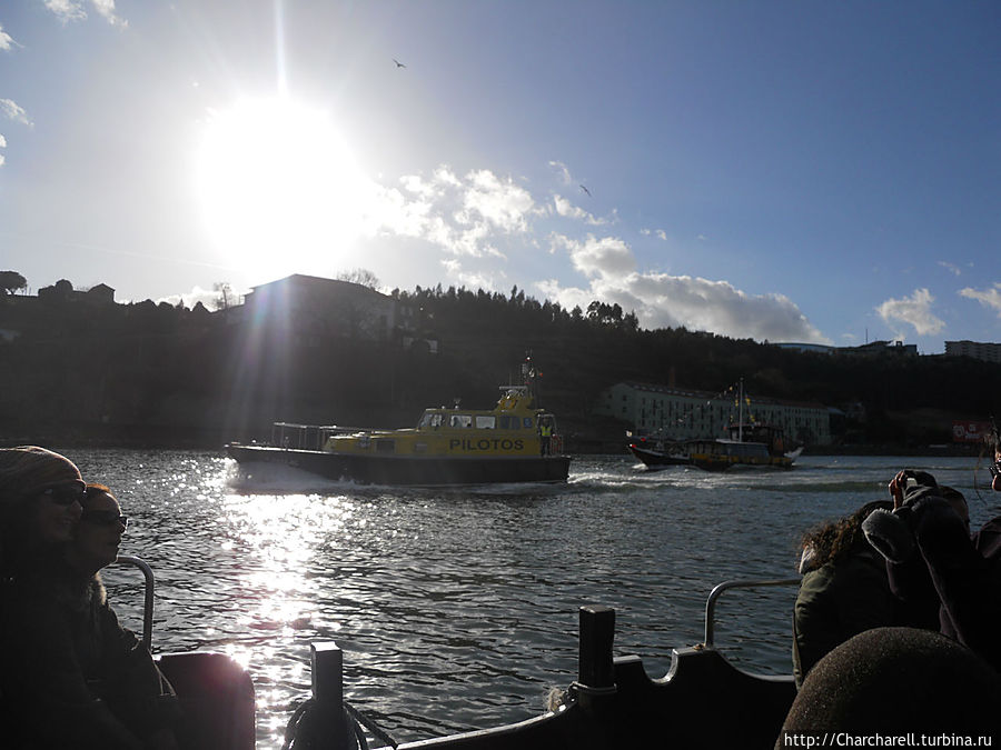 Мини-круиз по Дору или 7 мостов Порту, Португалия Мини-круиз по Дору или 7 мостов Порту, Португалия