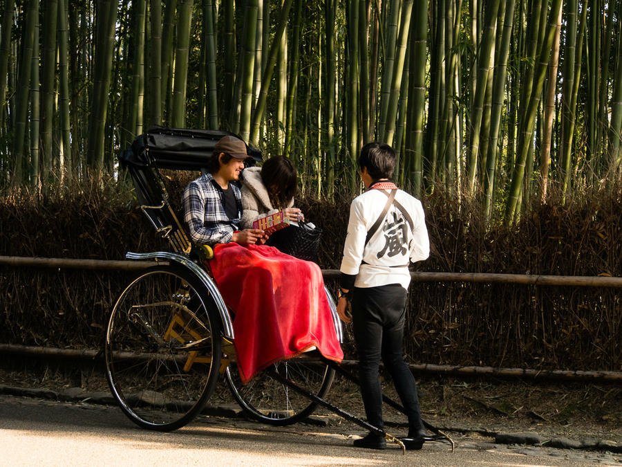 Бамбуковые рощи Арасиямы Киото, Япония