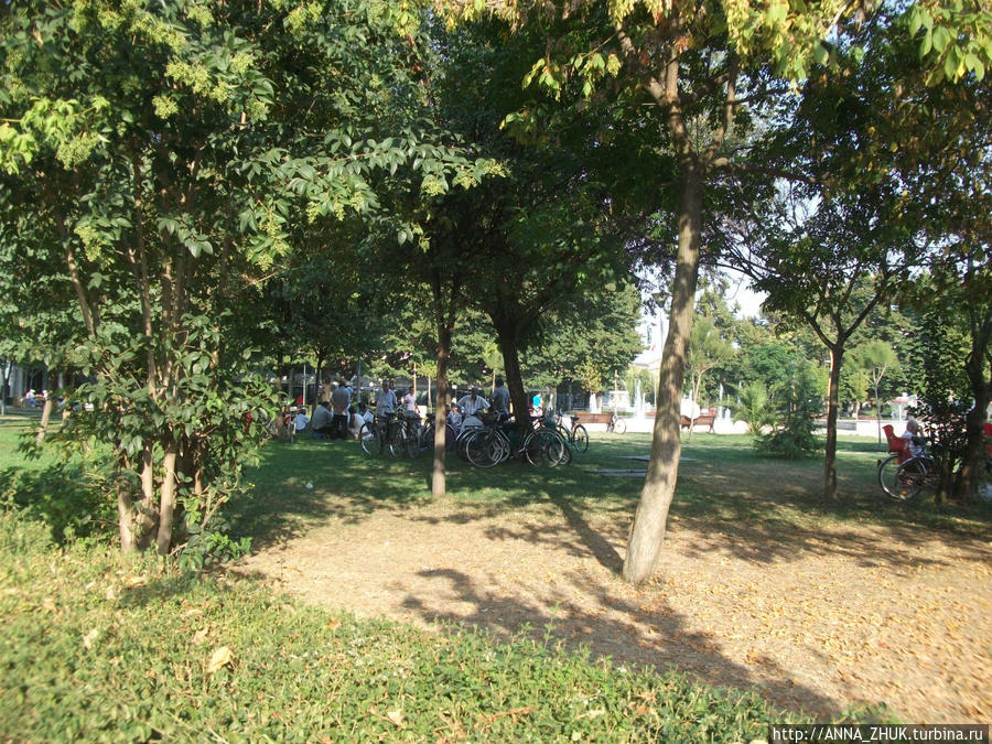 Общение мужчин недалеко от мечети. Шкодер, Албания Общение мужчин недалеко от мечети. Шкодер, Албания