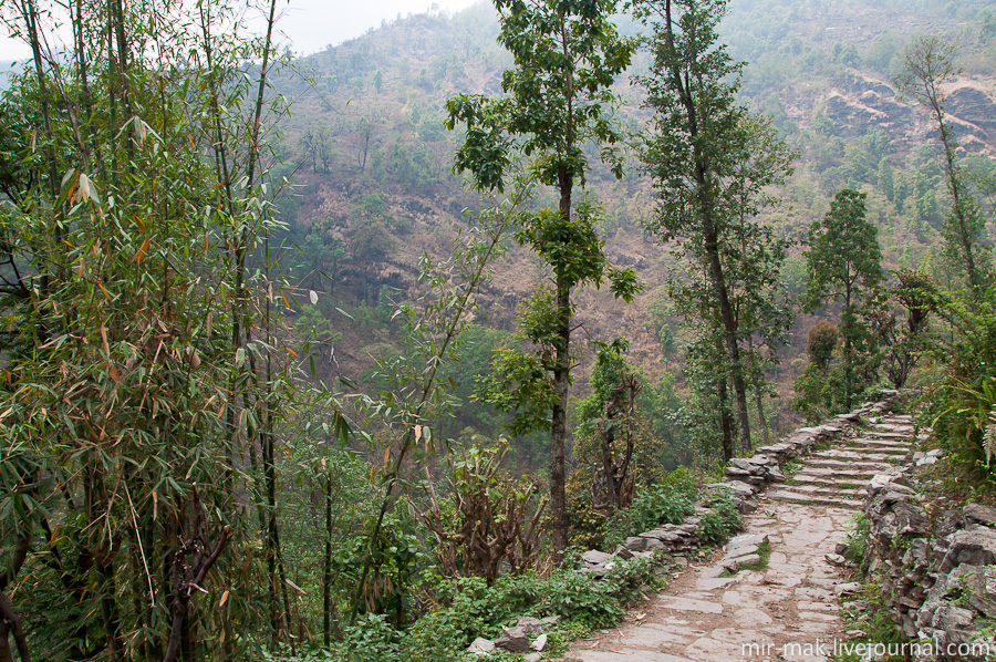 Зачастую тропинка в местах у обрывов выложена из камней, чтобы ее не размыло в непогоду. Непал