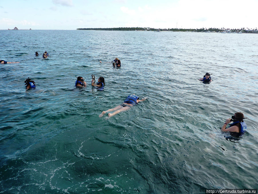 Плавание в океане над коралловыми рифами Баваро, Доминиканская Республика