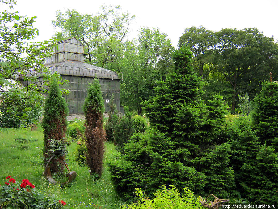 Ботанический сад Ботанический сад