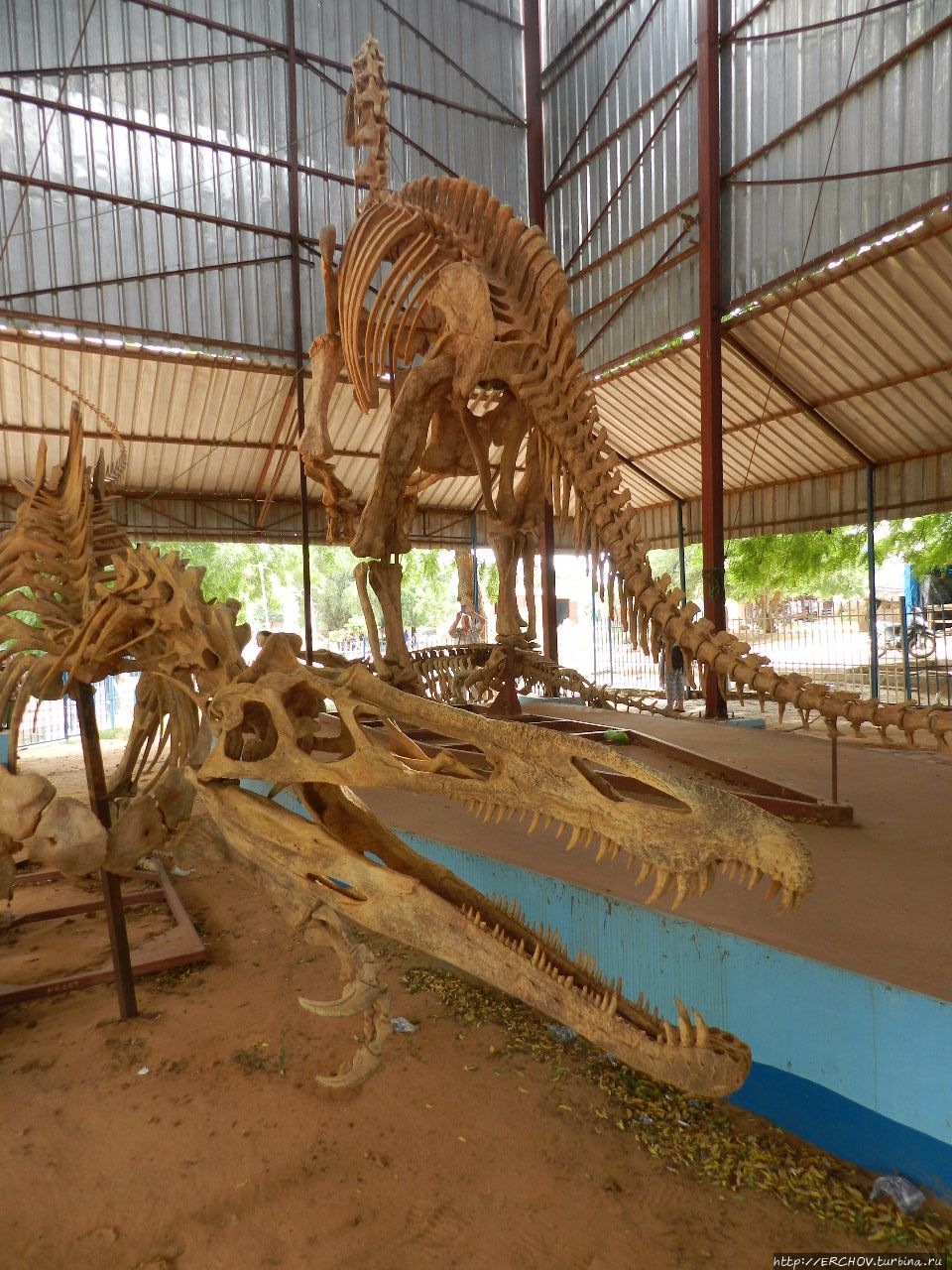 Нигер. Ч — 2. Национальный музей Республики Нигер Ниамей, Нигер