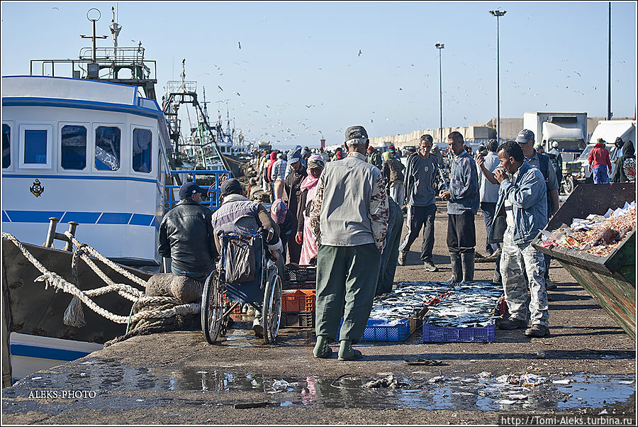 А вот и фишмаркет. Особенно оживленно здесь бывает по утрам...
* А вот и фишмаркет. Особенно оживленно здесь бывает по утрам...
*