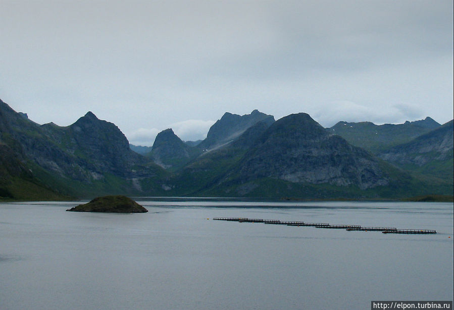 Зубчатые скалы Лофотен порой смахивают на плавники свирепой акульей стаи Острова Лофотен, Норвегия