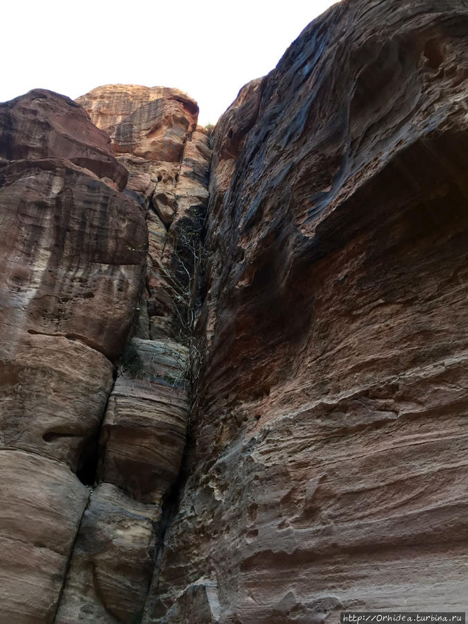 1200 метров по ущелью — каньон Петра Петра, Иордания