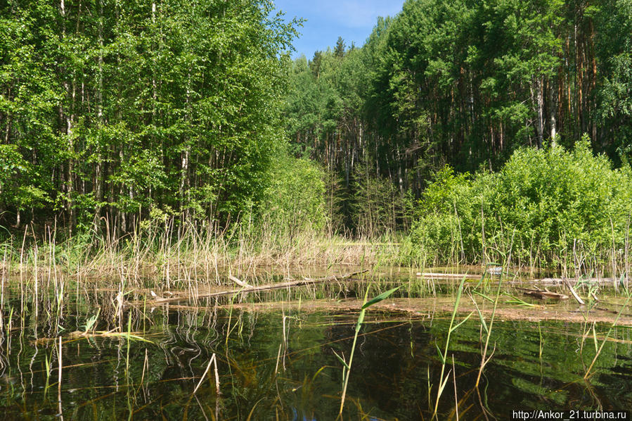 Чваниха — райский уголок Кировская область, Россия Чваниха — райский уголок Кировская область, Россия