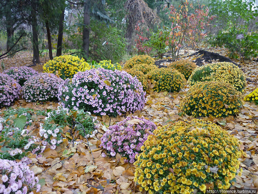 Последний парад осени Москва, Россия Последний парад осени Москва, Россия