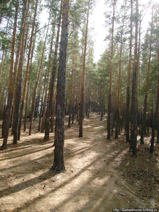 Прогулка лесной тропой к пещере Кенесары Хана Бурабай Национальный Парк, Казахстан