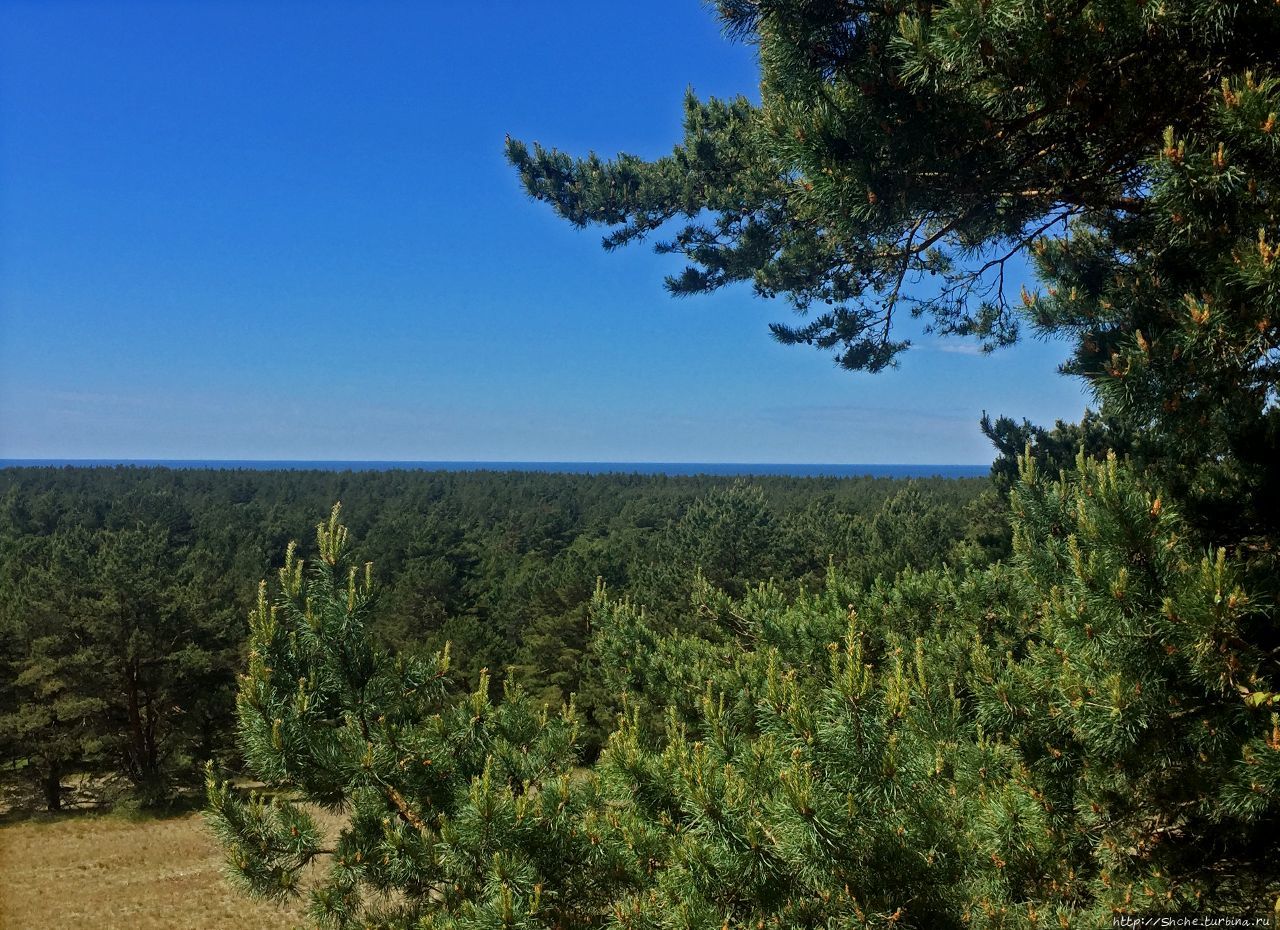 Дюна Авикалнис Куршю Нярия Национальный Парк, Литва