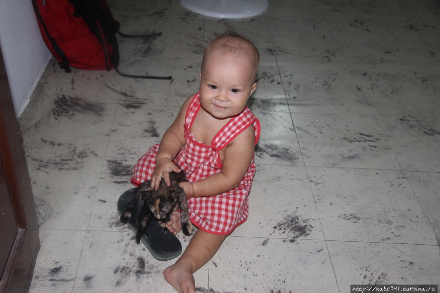 Как страшно, когда сбываются мечты Санта-Марта, Колумбия Как страшно, когда сбываются мечты Санта-Марта, Колумбия