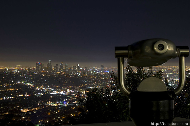 Фото из интернета Фото из интернета