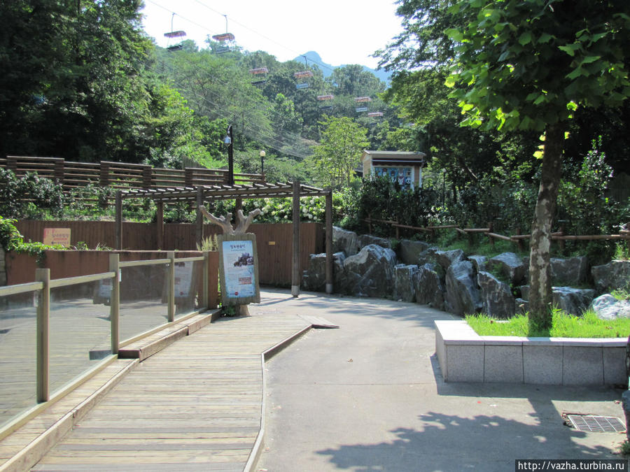 Зоопарк Сеула. Вторая часть. Сеул, Республика Корея