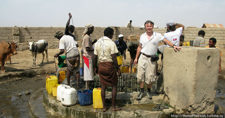 На водопое в Зула На водопое в Зула