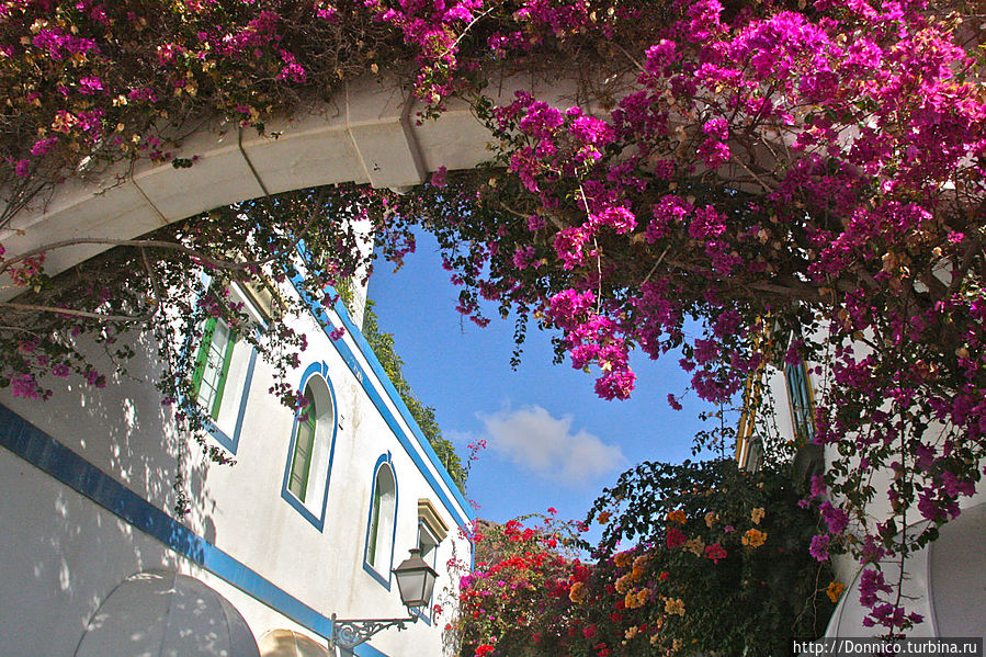 Пуэрто-Моган: Незнайка в цветочном порту Остров Гран-Канария, Испания