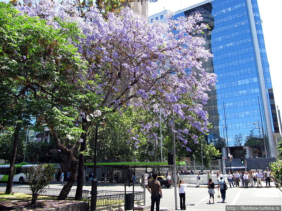 Столица Сантьяго Чили