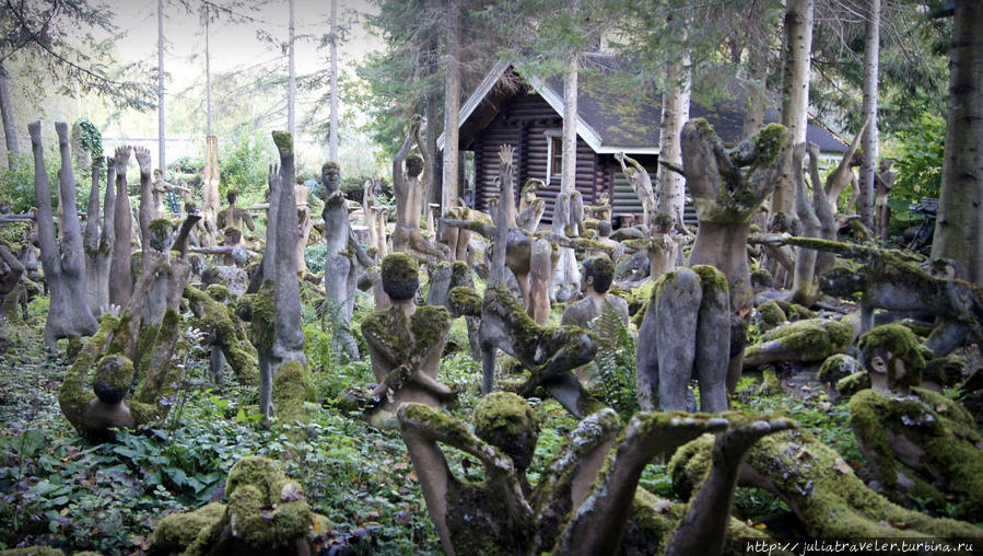 Мистический лес в Париккала Париккала, Финляндия