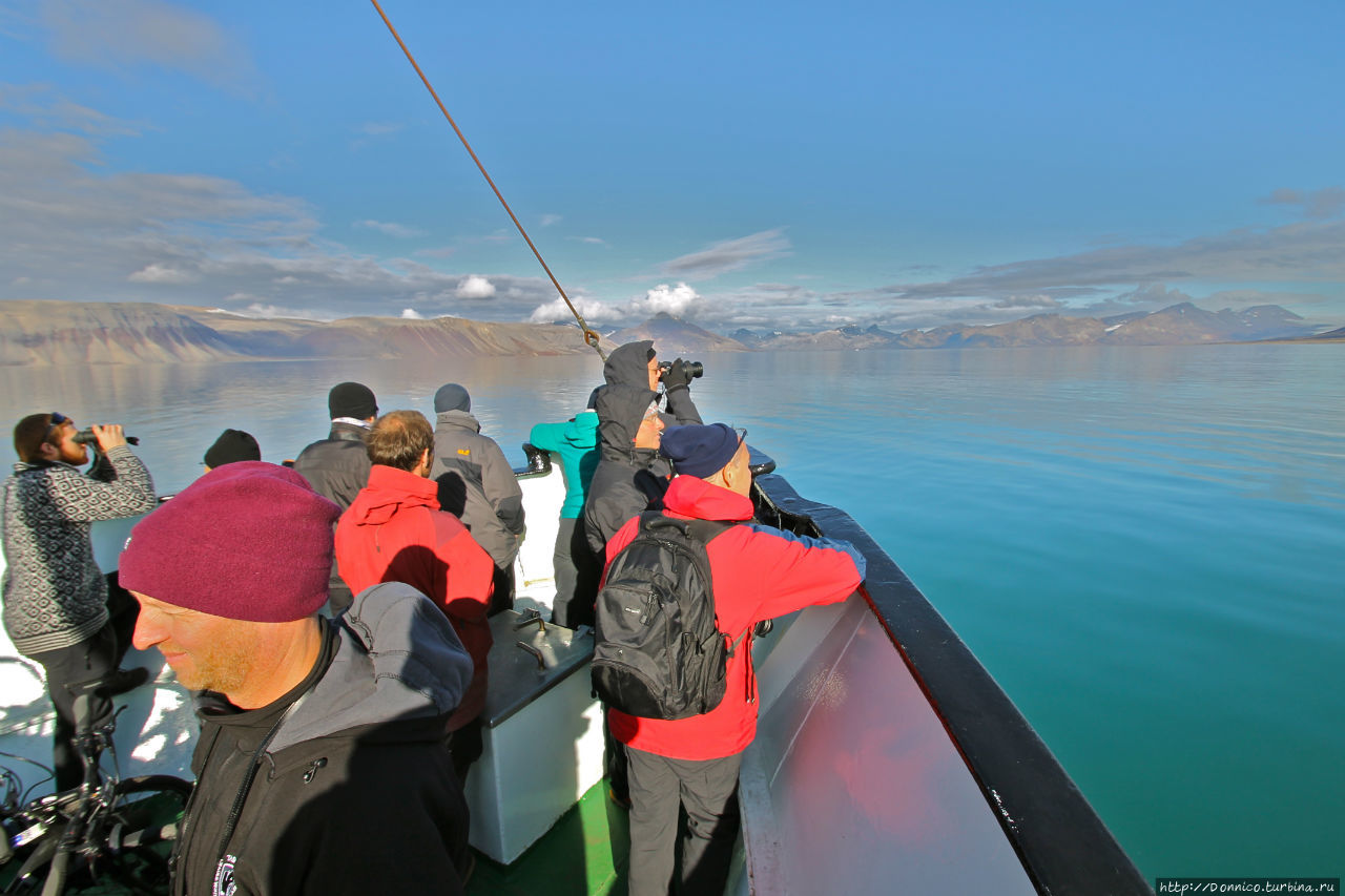 Экскурсия на лодке по Исфьорду Лонгийербюен, Свальбард