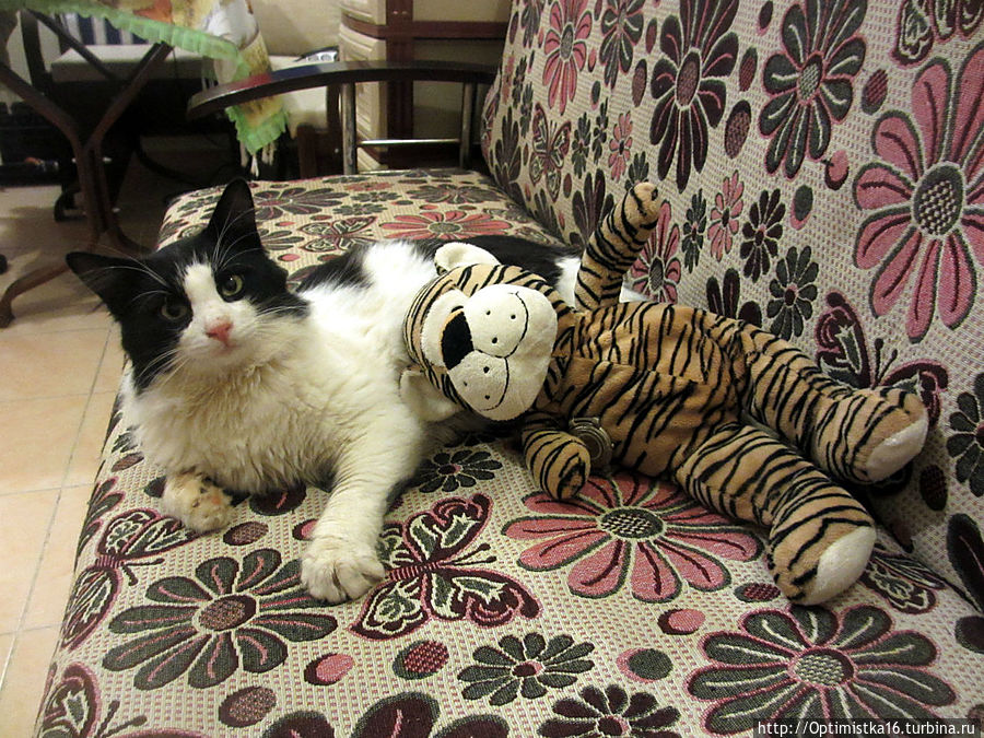 Наш турецкий Новый Год Дидим, Турция Наш турецкий Новый Год Дидим, Турция