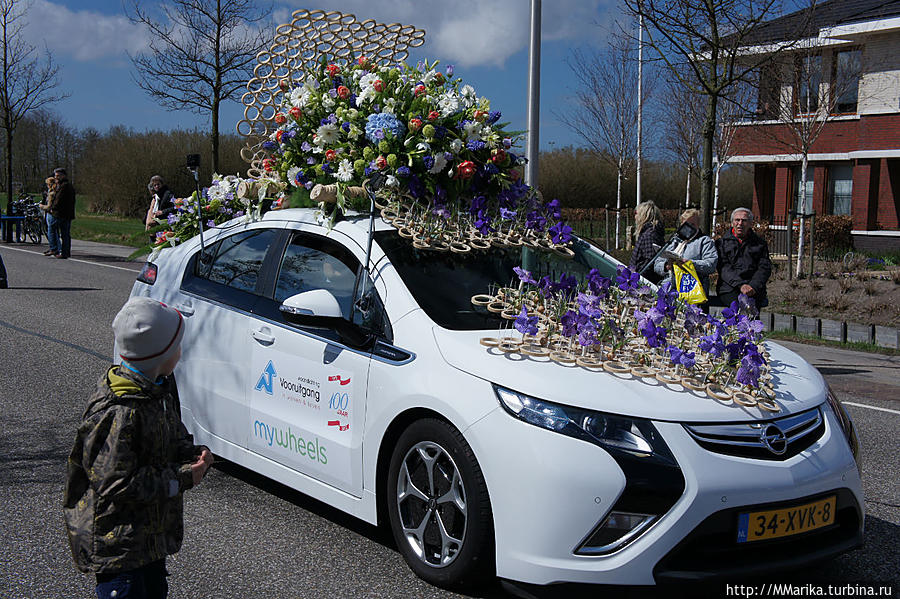 Bloemencorso Bollenstreek — парад цветов Провинция Южная Голландия, Нидерланды