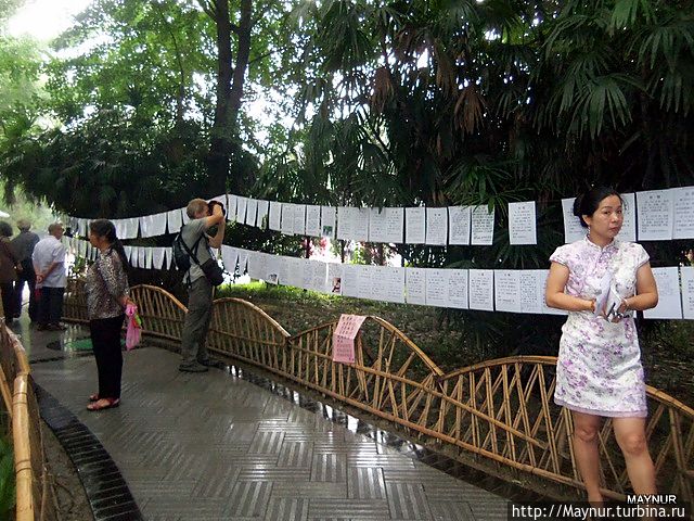 служба знакомств служба знакомств