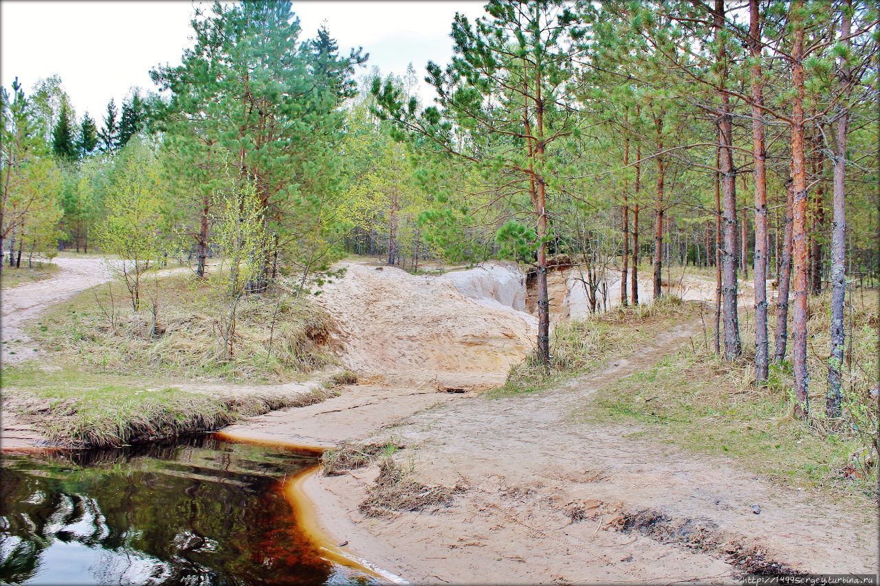 Малый Лужский каньон или История обычного лесного ручья Луга, Россия