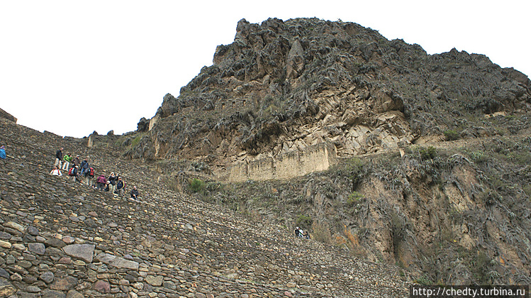 Выход магматических прод Выход магматических прод