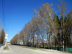 На ул.Суворова за березами справа виднеется стадион Цементник.