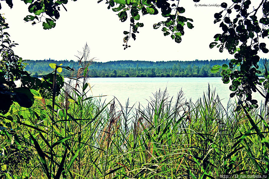 Рубское озеро — чудо озеро Тейково, Россия