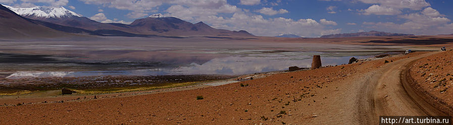 обитающими в многочисленных озёрах Уюни, Боливия