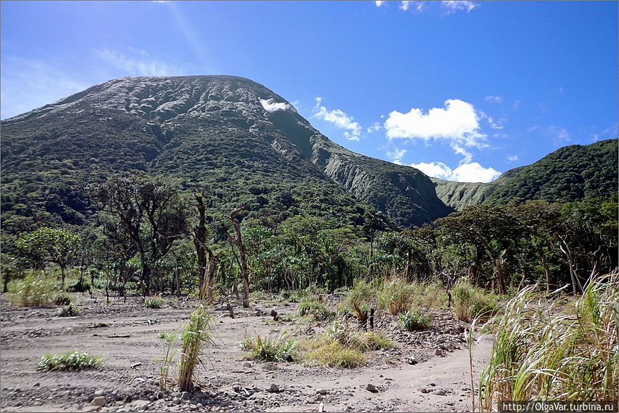 Вулкан Булусан, каким его видно со стоянки лагеря, когда нет облаков Вулкан Булусан, каким его видно со стоянки лагеря, когда нет облаков