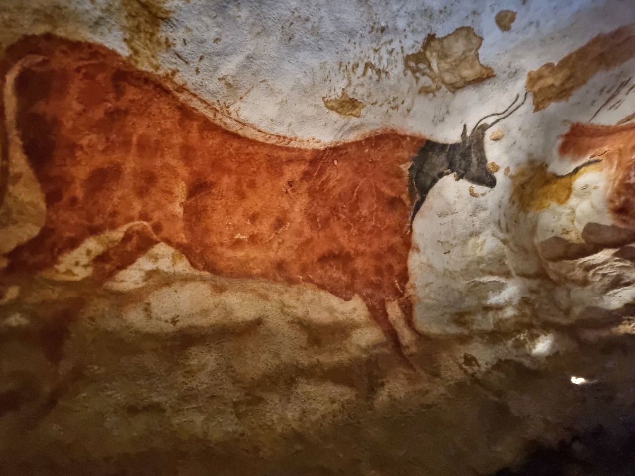 Пещера Ласко Монтиньяк-Ласко, Франция
