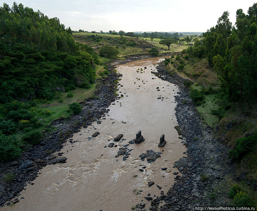 Река Аваш Река Аваш