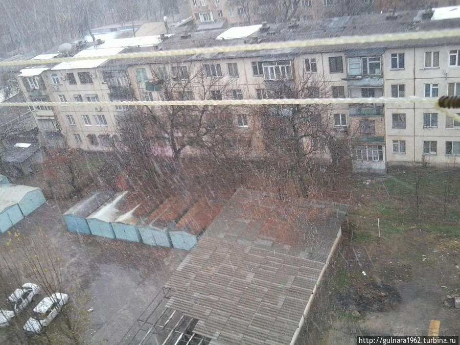 А утром пошел снег сплошным сильным потоком. Ташкент, Узбекистан