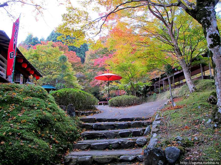 На подходе к храму Дзингодзи На подходе к храму Дзингодзи