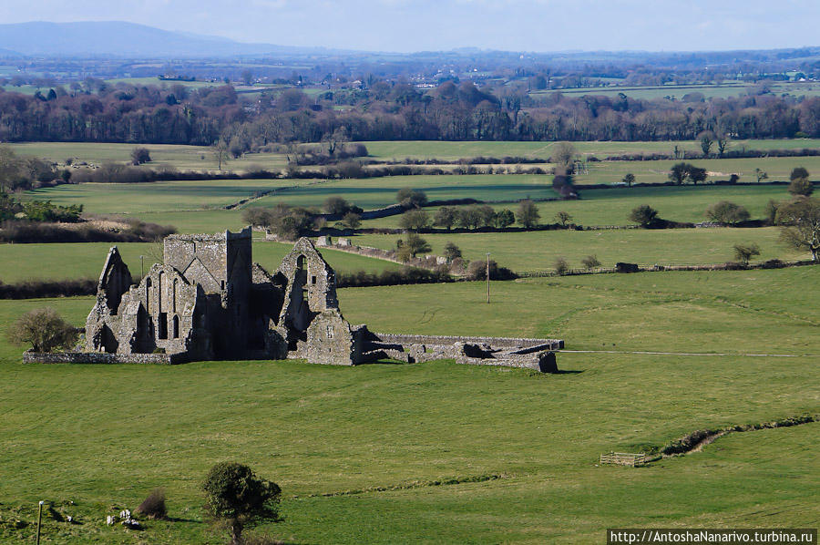 Вид со Скалы на развалины аббатства Хор Кашел, Ирландия