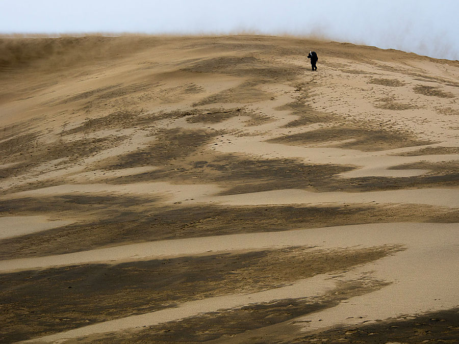 Я поднимаюсь следом, а ветер сдувает песок с вершины дюны прямо на нас. Тоттори, Япония