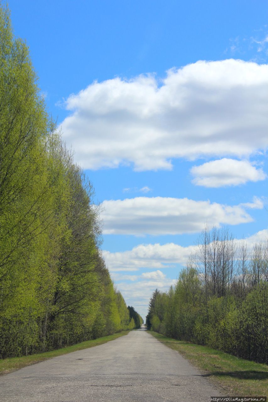 Спрятанный в лесах Марий Эл. Шереметевский замок Юрино, Россия Спрятанный в лесах Марий Эл. Шереметевский замок Юрино, Россия