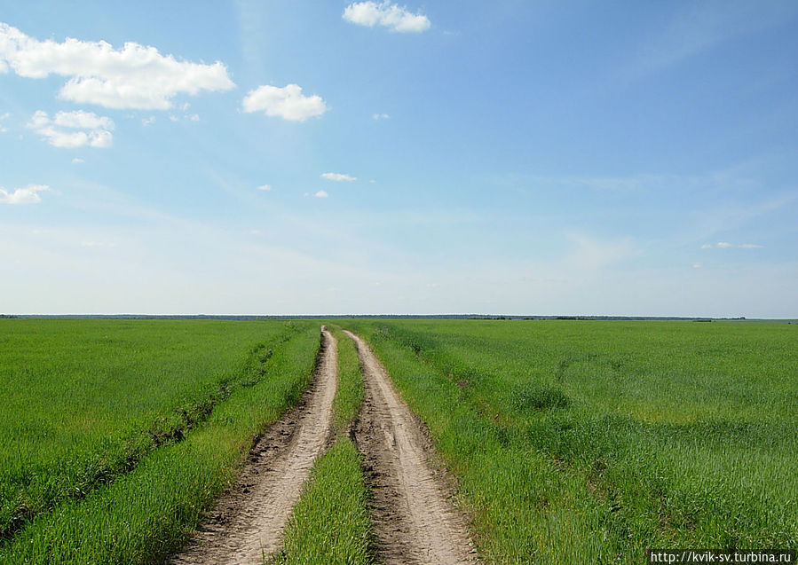 Дальше дорога шла по полю Дальше дорога шла по полю