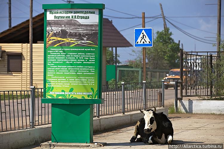 Фото: Олег Смолий