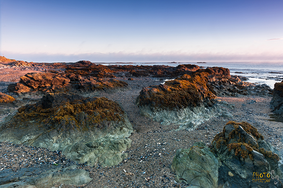 Рассвет в дублинском заливе Рассвет в дублинском заливе